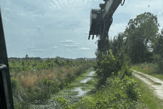 Bulls Bay Site Work